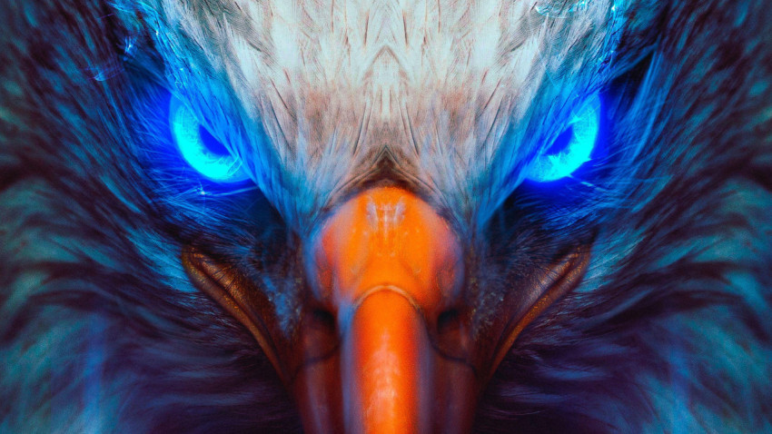 Eagle Wallpapers