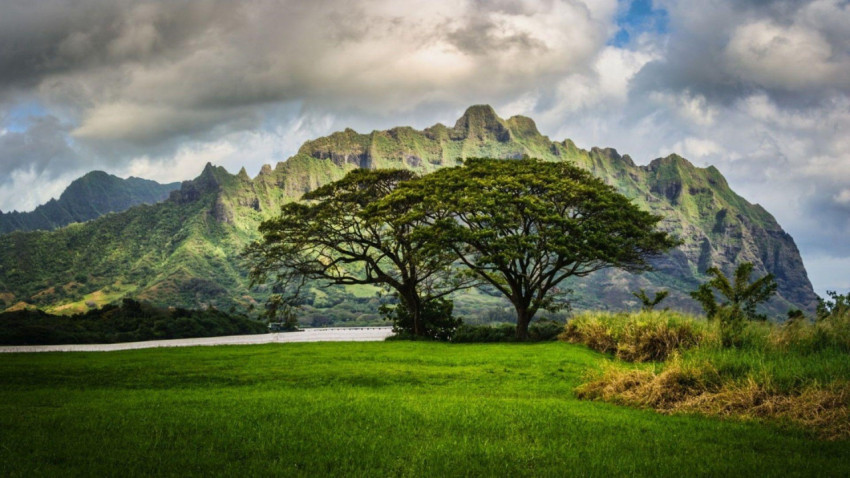 Hawaii Mountain
