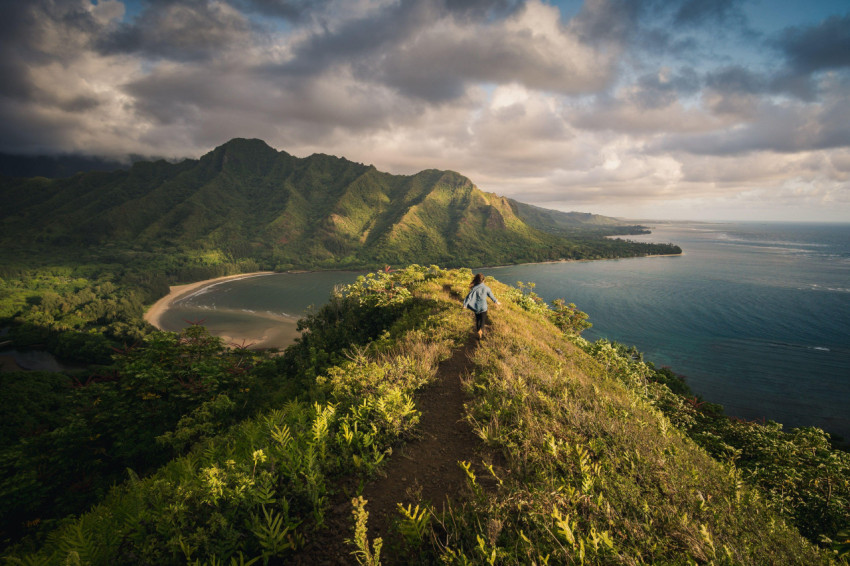 Hawaii Mountain
